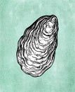 Oyster shell ink sketch Royalty Free Stock Photo