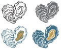 oyster shell set Royalty Free Stock Photo
