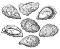 Oyster shell set