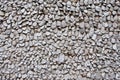 Oyster shell wall Royalty Free Stock Photo