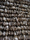 Oyster shell walls Royalty Free Stock Photo