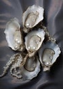 Oyster shellfish healthy luxury open background gourmet shells seafood sea fresh food