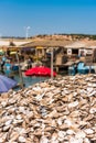 Oyster shells close-up, Leucate, France. Vertical. Royalty Free Stock Photo
