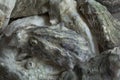 Oyster shells closeup