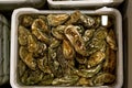 Oyster shuck and oysters in boxes with water Royalty Free Stock Photo