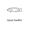 oyster toadfish icon. Element of marine life for mobile concept and web apps. Thin line oyster toadfish icon can be used for web a Royalty Free Stock Photo