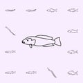 oyster toadfish icon. Fish icons universal set for web and mobile