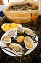 Oysters Royalty Free Stock Photo