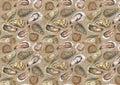 Oysters aged paper background