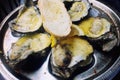 Oysters, baked with cheese, on a silver platter