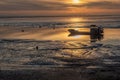 An oysters boat and its reflection ont the first golden lights of the day on the ARCACHON BASIN