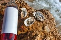 Oysters and a bottle of rose wine at the beach