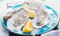 Oysters close-up on blue plate, served table with fresh oysters, lemon and ice. Healthy sea food. Fresh Oyster dinner in restauran Royalty Free Stock Photo