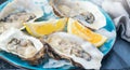 Oysters close-up on blue plate, served table with fresh oysters, lemon and ice. Healthy sea food. Fresh Oyster dinner in restauran Royalty Free Stock Photo