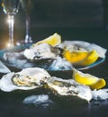 Oysters closeup on blue plate. Served table with fresh oysters, lemon and ice. Healthy sea food. Oyster dinner with champagne Royalty Free Stock Photo