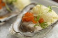 Oysters garnished with red caviar on salt and plate Royalty Free Stock Photo