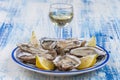 Oysters and glass of white wine in a restaurant wooden tavle