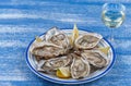Oysters and glass of white wine in a restaurant wooden tavle
