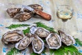 Oysters and glass of white wine in a restaurant wooden tavle