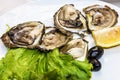 Oysters, green salad and lemon on the plate