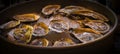 Oysters on the half-shell Royalty Free Stock Photo