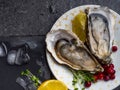 Oysters heart shape in plate with lemon, cranberries, microgreens, knife, shells on marble