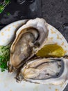 Oysters heart shape in plate with lemon, cranberries, microgreens, knife, shells on marble