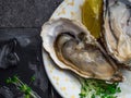 Oysters heart shape in plate with lemon, cranberries, microgreens, knife, shells on marble