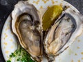 Oysters heart shape in plate with lemon, microgreens, shells on marble