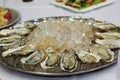 Oysters with ice cubes on the big silver or metal round plate