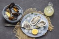 Oysters, ice, lemon and fork on plate. Clams in shells in bowl Royalty Free Stock Photo