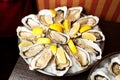 Oysters with ice and lemon in white plate