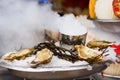 Oysters in ice Royalty Free Stock Photo