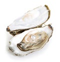 Oysters isolated on a white