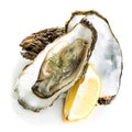 Oysters isolated on a white