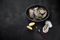 Oysters, knife, lemon wedges in silver plate on black stone background