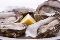 Oysters and Lemon Royalty Free Stock Photo