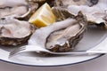 Oysters, Lemon and Fork