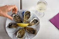 Oysters with lemon and glass of white wine, Royalty Free Stock Photo