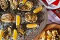 Oysters with lemon and ice on the plate Royalty Free Stock Photo
