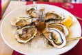 Oysters with lemon on a plate, Sete, France. Close-up. Royalty Free Stock Photo