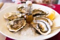 Oysters with lemon on a plate, Sete, France. Close-up. Royalty Free Stock Photo