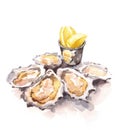 Oysters Lemon Wedges Watercolor Food Illustration hand painted