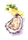 Oysters Lemon Wedges Watercolor Food Illustration hand painted