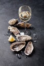 Oysters with lemon and white wine Royalty Free Stock Photo