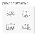 Oysters line icons set