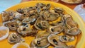 Oysters ocean fresh Florida half shell butter shuck delicious Royalty Free Stock Photo