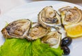 Oysters, olives and lemon served on the plate