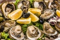 Oysters, olives and lemon served on the plate