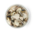 Oysters in plastic bowl isolated on a white background ,include clipping path Royalty Free Stock Photo